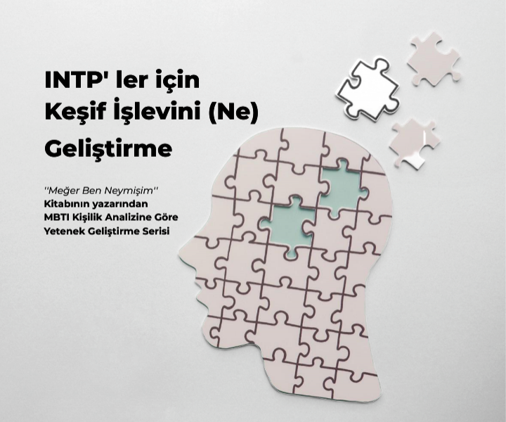 INTP’ ler İçin (Ne) İşlevini Geliştirme