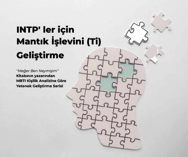 INTP’ ler İçin (Ti) İşlevini Geliştirme