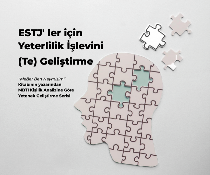 ESTJ’ ler İçin (Te) İşlevini Geliştirme