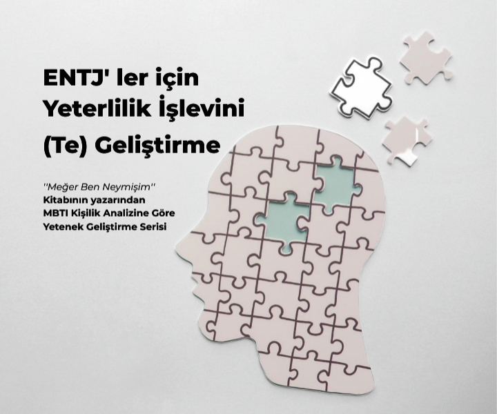 ENTJ’ ler İçin (Te) İşlevini Geliştirme